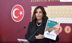 CHP’li Rızvanoğlu: Orman Yangınları Artık Doğal Değil, Siyasi Bir Felakettir