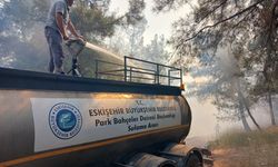 Eskişehir’den Bursa Yangınına Destek