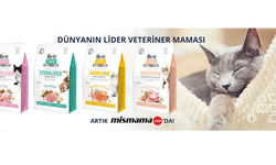 Köpek Tasması ve Mama Seçiminde Bilinçli Alışveriş Rehberi