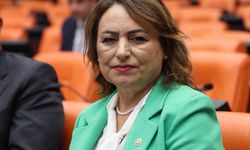 Müzeyyen Şevkin, yılan hikayesine dönen Yedigöze İmamoğlu Sulama Projesi’ni Meclise taşıdı