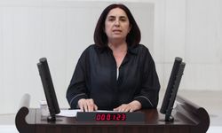 Sevilay Çelenk’ten Meclis’e Emekli Yoksulluğu Çıkışı: “İnsanlar Keyiften Değil, Mecburiyetten Çalışıyor!”