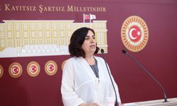 DEM Partili Sevilay Çelenk’ten Meclis’e Basın Özgürlüğü Önergesi: “Toplumsal Barışın Güvencesi, Basın Özgürlüğüdür”