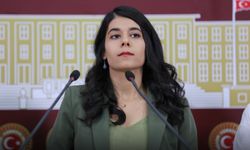 DEM Parti Mardin Milletvekili Beritan Güneş, “Zeytinlikler talan ediliyor, doğa piyasaya kurban ediliyor!”