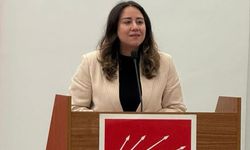 CHP Ankara İl Kadın Kolları Başkanı Ayça Çağlar: “Kadına Şiddet Mücadelesinde Partiler Üstü Dayanışma Şart”