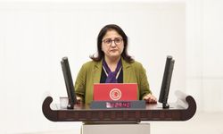 Dersim Milletvekili Ayten Kordu’dan Zînî Gediği Katliamı İçin TBMM’ye Araştırma ve Soru Önergeleri
