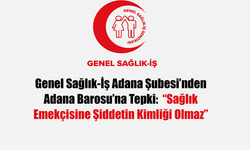 Genel Sağlık-İş Adana Şubesi’nden Adana Barosu’na Tepki: “Sağlık Emekçisine Şiddetin Kimliği Olmaz”