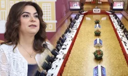 DEM Partili Koçyiğit’ten Komisyon Çıkışı: “Tespit Yerine Çözüm Gündemleşmeli”