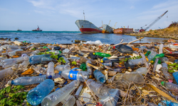 Ticaret, Plastik Kirliliğini Sona Erdirmede Çözümün Parçası Olmalı