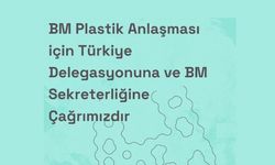 BM Plastik Anlaşması İçin Türkiye Delegasyonuna ve BM Sekreterliğine Çağrı!