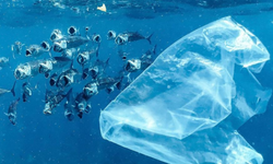 Plastik Kirliliğiyle Mücadelede Yol Ayrımı: Sistemsel Dönüşüm Zamanı