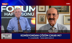 Hüsnü Mahalli: Komisyonlar çözüm üretmez, tarafları oyalamak için kurulur