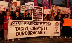"Tacizleri, kadına yönelen psikolojik ve fiziki şiddeti kim tarafından gelirse gelsin yazmaya devam edeceğiz"