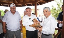 Adana’da Sokak Canlılarına Doğal Yaşam Alanı