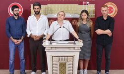 DEM Partili Perihan Koca’dan İki Önemli Çıkış: HepsiJet İşçileri ve Kürtçe Konuştukları İçin Saldırıya Uğrayan Aile