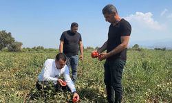 CHP'li Bekir Başevirgen, Üretim Maliyetleri Çiftçiyi Vurdu: “Bu Düzen Çiftçiyi Bitirir”