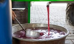 Tarsus Sucular Mahallesi’ne Üzüm Sıkma Makinesi Teslim Edildi