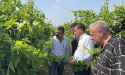 Manisalı Üzüm Üreticileri CHP’li Başevirgen’e Dert Yandı: “Çalıştıkça Kötüye Gidiyoruz”