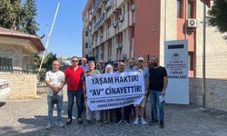 33 Dağ Keçisi Ölüm Listesinde: Ekolojistler Uyardı, Doğa Katliamına Hayır