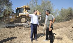 Yüreğir Belediyesi’nden Sokak Hayvanlarına Yönelik Dev Yatırım