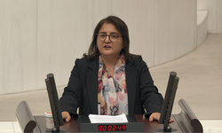Ayten Kordu’dan Ulukale Dutu İçin Destek Çağrısı