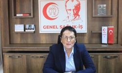 Genel Sağlık-İş Başkanı Dr. Derya Uğur: “Tamamlayıcı Emeklilik Sistemi, Emekçilerin Ücretlerini Tırpanlayacak”