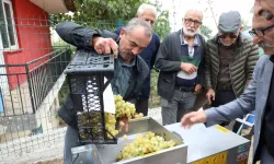 Bursa İnegöl'den üzüm hasadını kolaylaştıran destek