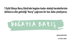 "Kalıcı bir barış için onarıcı adalet kadar ekolojik iyileştirmenin de zorunlu olduğunu düşünüyoruz."