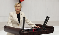 Dilovası’nda Bir Sızıntı Değil, Süregelen Felaket: Perihan Koca Meclis’e Taşıdı