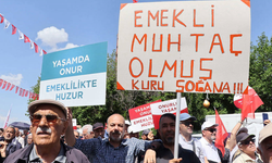 Şeyhmus Kaya: Emekliler Açlığın Pençesinde, İktidar Kayyımla Meşgul