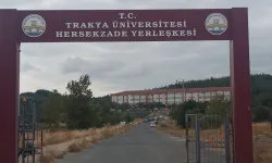 Keşan Belediyesi göreve davet edildi... Uzun otlar temizlenmeyi bekliyor