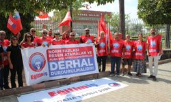 Hatice Hazar: “Norm Fazlası Re’sen Atamalar ve Alan Dışı Görevlendirmeler Derhal Durdurulmalıdır!”