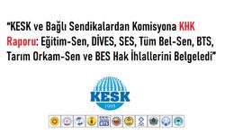 KESK ve Sendikalar Komisyona Seslendi: KHK’lar Hukuksuz İhraçların Adı Oldu