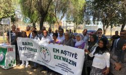 Yüreğir’de DEM Parti’nin “Barış İstiyoruz Çünkü” Çağrısı: Eşit ve Özgür Yaşam İçin