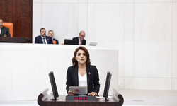 CHP’li Gülcan Kış: Ekonomi değil, vatandaş batıyor. Halk faize, yanlış politikaların faturasını ödüyor