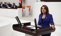 CHP’li Gülcan Kış: “Sandıkta Alamadığınızı Kanunla Almaya Çalışıyorsunuz”
