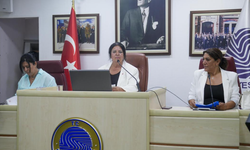 Seyhan Belediyesinden Sokak Hayvanları için Dev Adım: Doğal Yaşam Alanı Projesi Hayata Geçiyor!