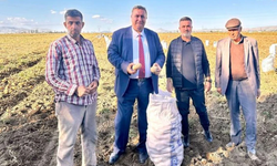 Çalışa çalışa battık — Patates üreticileri isyan etti, Gürer: Devlet devreye girmeli