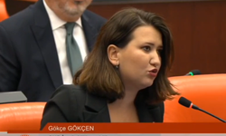 Gökçe Gökçen: "Gazetecilere, gençlere, siyasetçilere özgürlük"