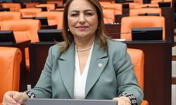 CHP’li Dr. Müzeyyen Şevkin, Yumurtalık merkezi idareden hiçbir destek alamıyor