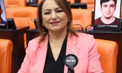 CHP'li ŞEvkin, Emekli, dul, yetim ve engelliler açlığın pençesinde