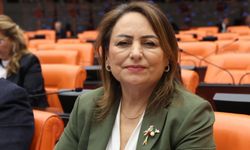 CHP Adana Milletvekili Şevkin'den Aladağ’a ‘Kayak Merkezi’ çağrısı…