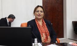 CHP’li Şevkin: Şehit Erkut Akbay’da Mağduriyet Sona Erdirilsin