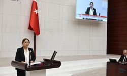 Dr. Müzeyyen Şevkin, “Belediye başkanlarımızın üzerinden elinizi çekin!”