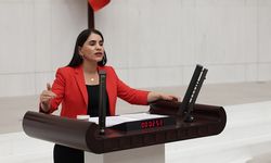 DEM Parti Şırnak Milletvekili Nevroz Uysal Aslan’dan Abdulmenaf Aytaç’ın Durumu Hakkında Açıklama