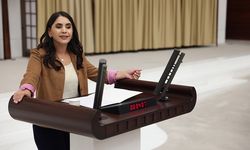 Nevroz Uysal Aslan’dan Meclis’e Ekolojik Tahribat Araştırma Önergesi: “Şırnak’ın doğası ve halkı için harekete geçilmeli