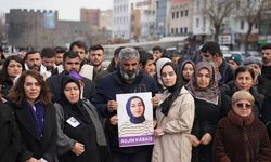 Rojin Kabaiş'in Ölümü: Adli Tıp'tan Çelişkili Açıklama