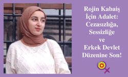 Eğitim Sen: Rojin Kabaiş İçin Adalet! Cezasızlığa, Sessizliğe ve Erkek Devlet Düzenine Son