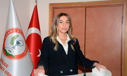 Ecz. Elekarışmaz, “İlaç yokları artıyor, mağduriyet derinleşiyor!”