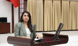 DEM Partili Oduncu: “Kültürel miras yerelden alınıp saraya devrediliyor”