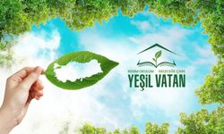 MEB'den Tüm Okullara Talimat: 10-11 Kasım'da Fidan Dikimi Yapılacak